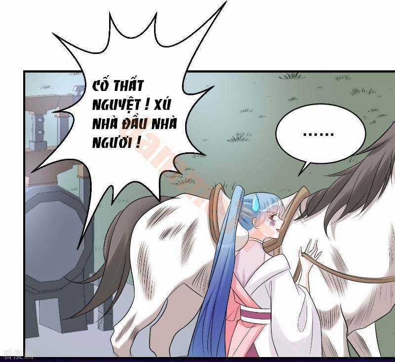 Độc Y Đích Nữ - Chapter 71 - Trang 10