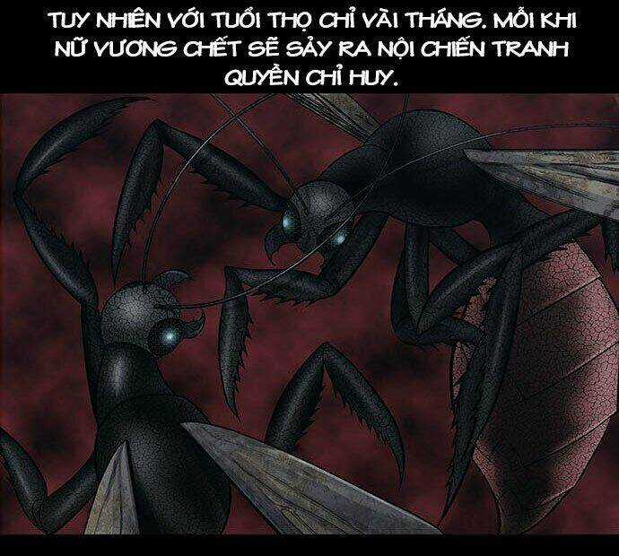 Dog Man (Chó Săn) - Chapter 2 - Trang 48