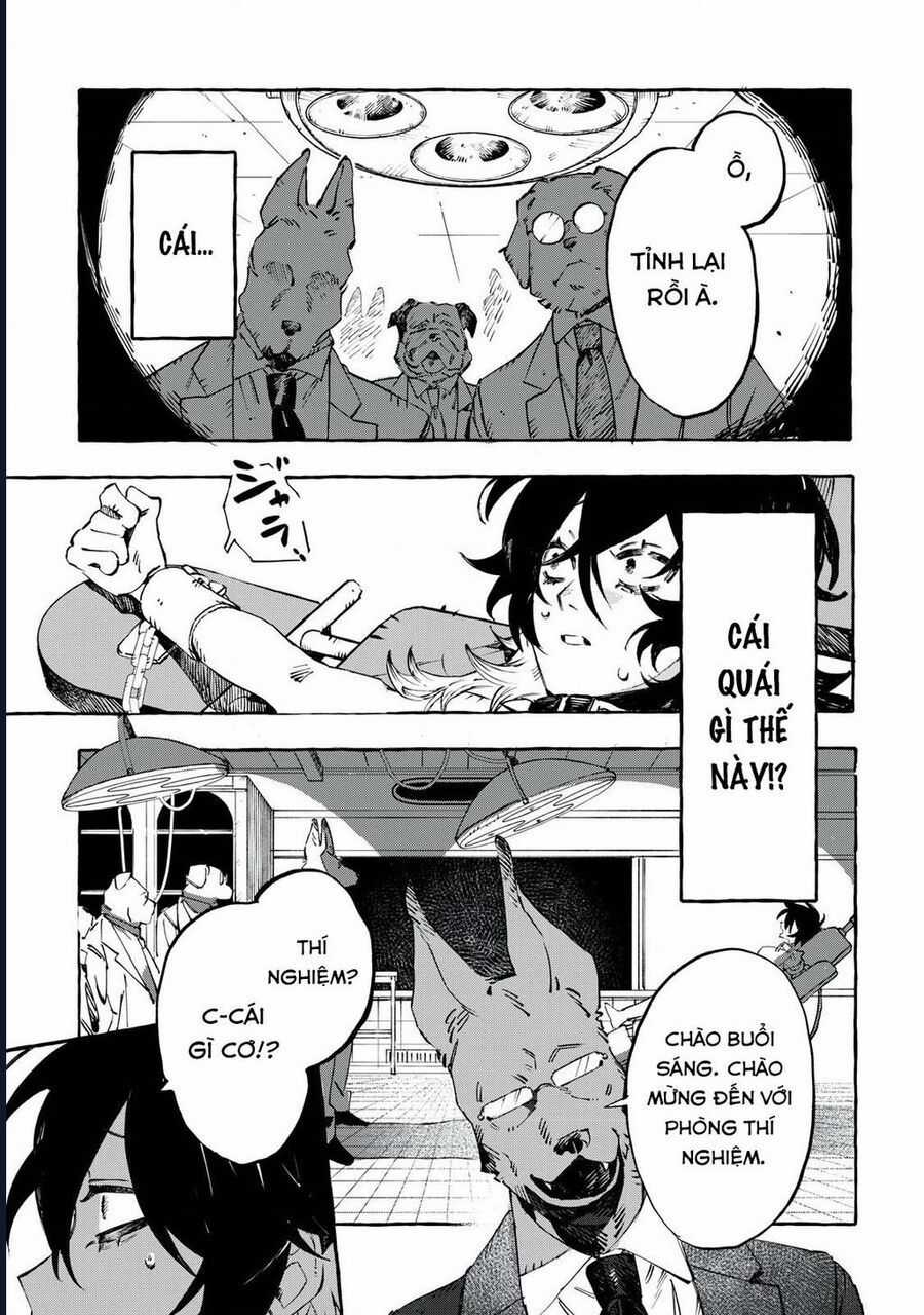 Dogmatic - Chương 1 - Trang 28