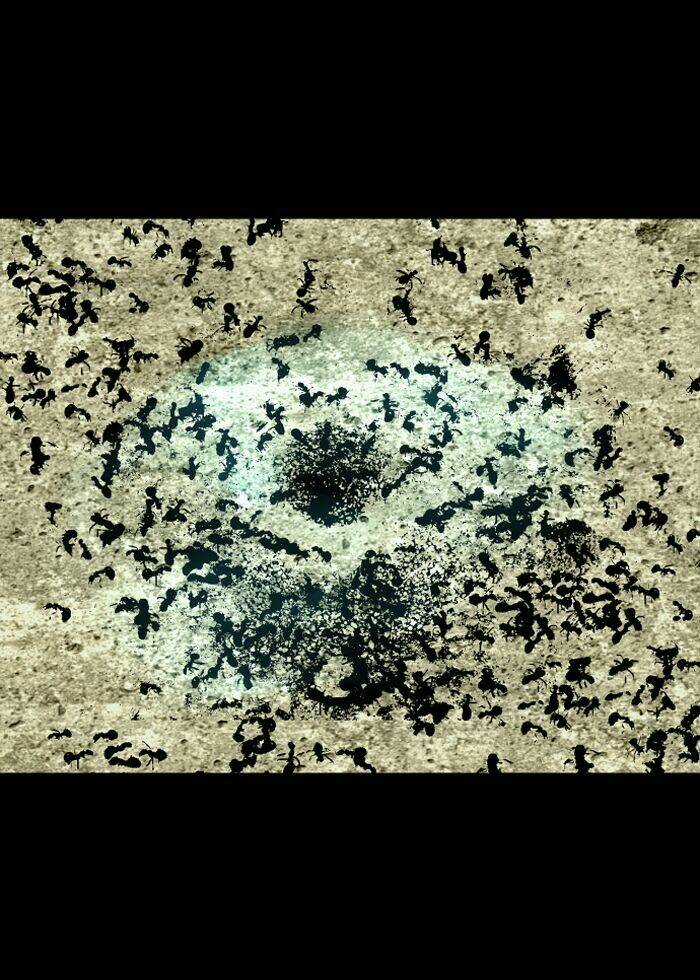 Đôi Mắt Từ Trái Tim - Chapter 18 - Trang 35