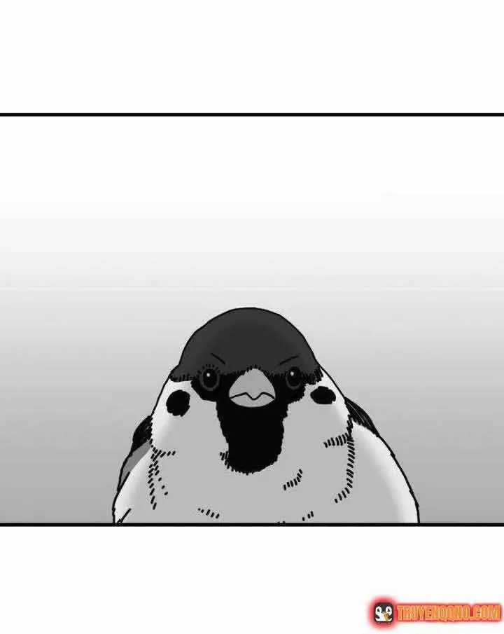 Đôi Mắt - Chương 52 - Trang 15