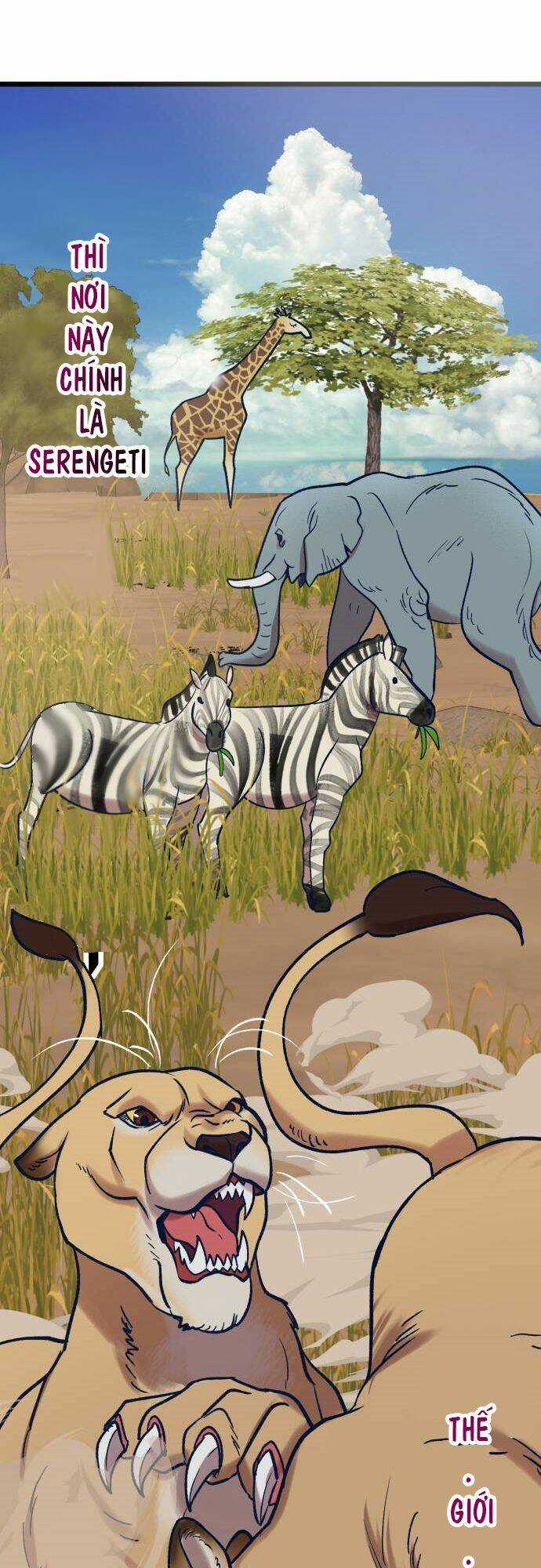 Đời Tư Idol - Chapter 5 - Trang 71