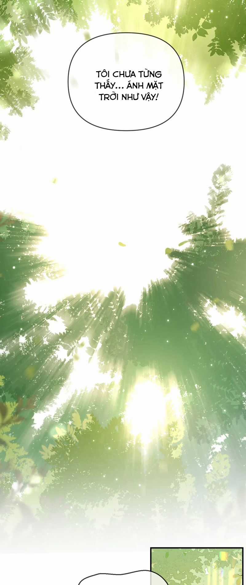 Đơn Xin Ly Hôn - Chapter 135 - Trang 28