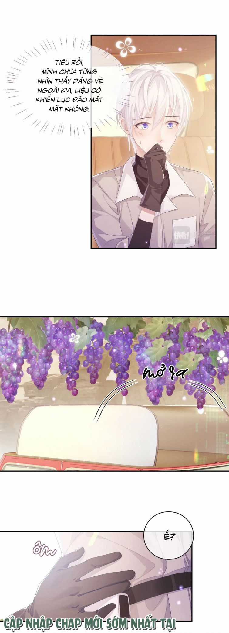 Đơn Xin Ly Hôn - Chapter 25 - Trang 21