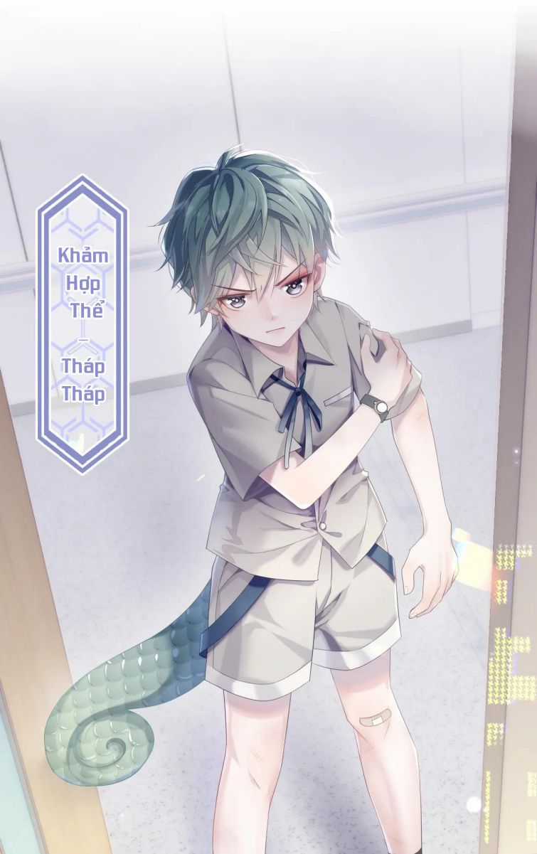 Đơn Xin Ly Hôn - Chapter 33 - Trang 12