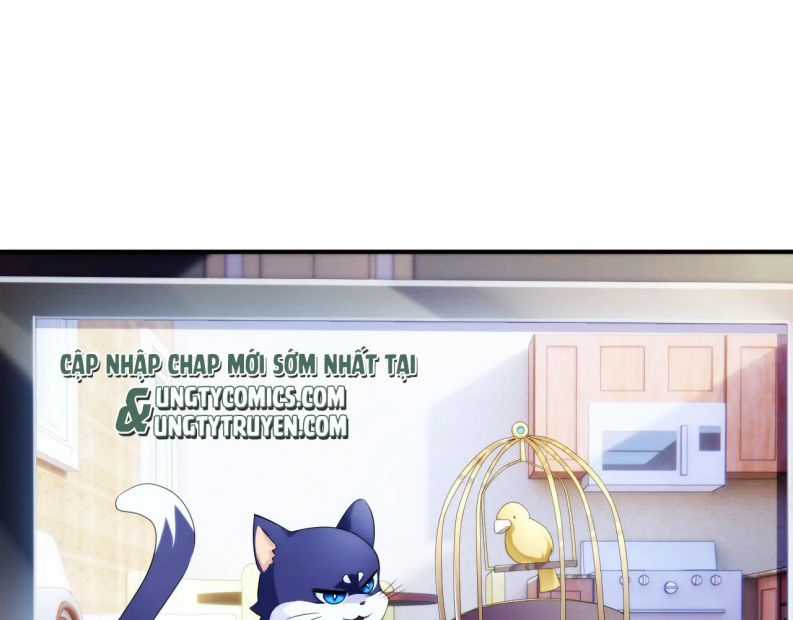 Đơn Xin Ly Hôn - Chapter 56 - Trang 35