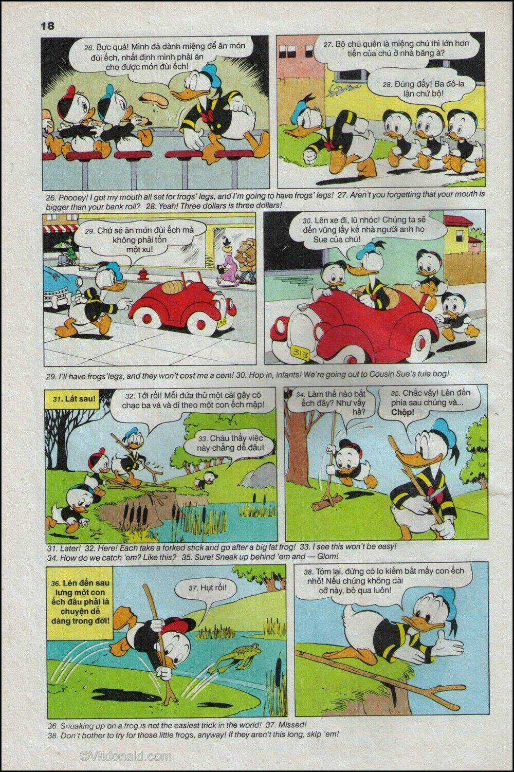 Donald Và Bạn Hữu - Chapter 23 - Trang 21