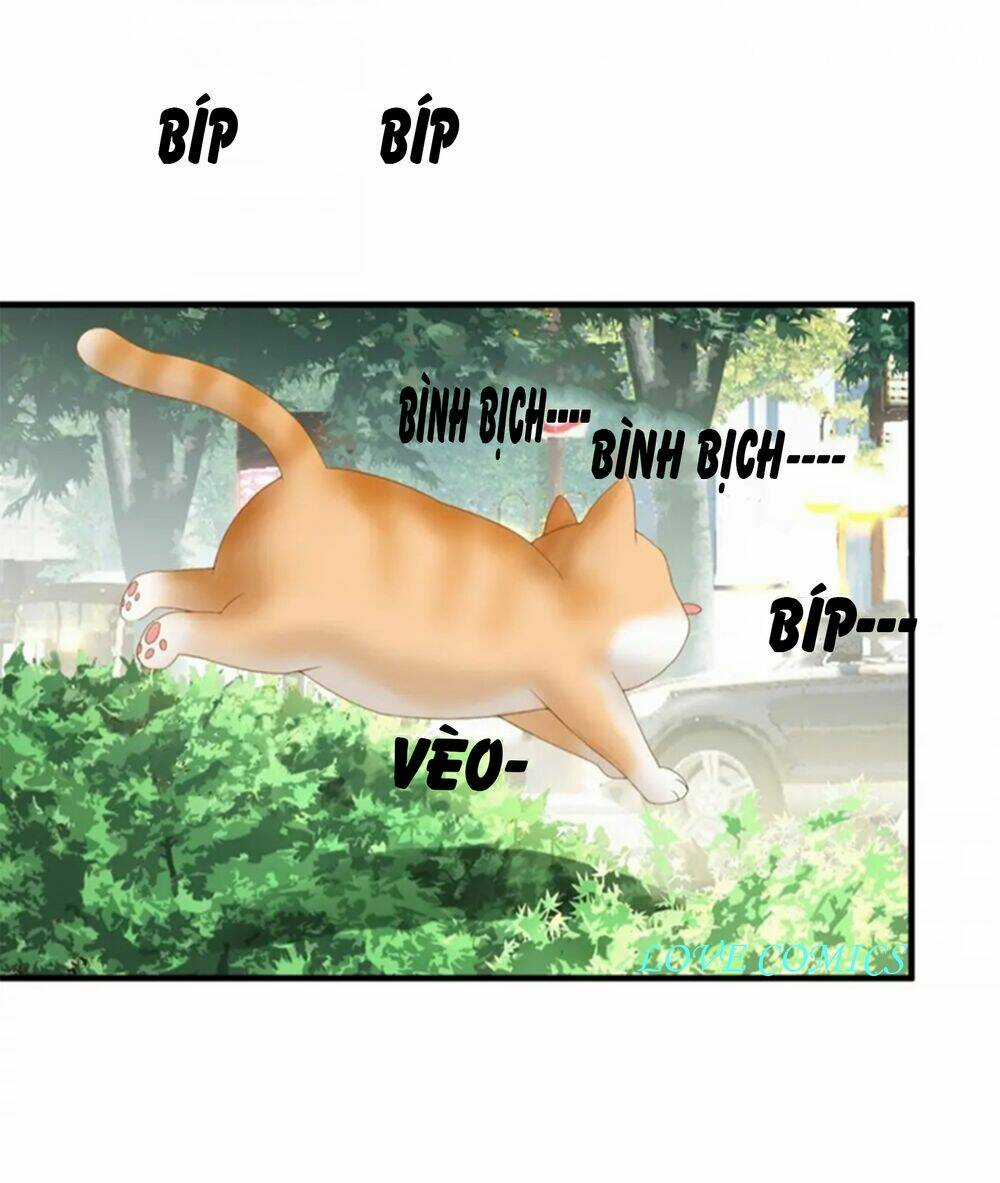 Dòng Chảy Trong Mơ - Chapter 3 - Trang 11