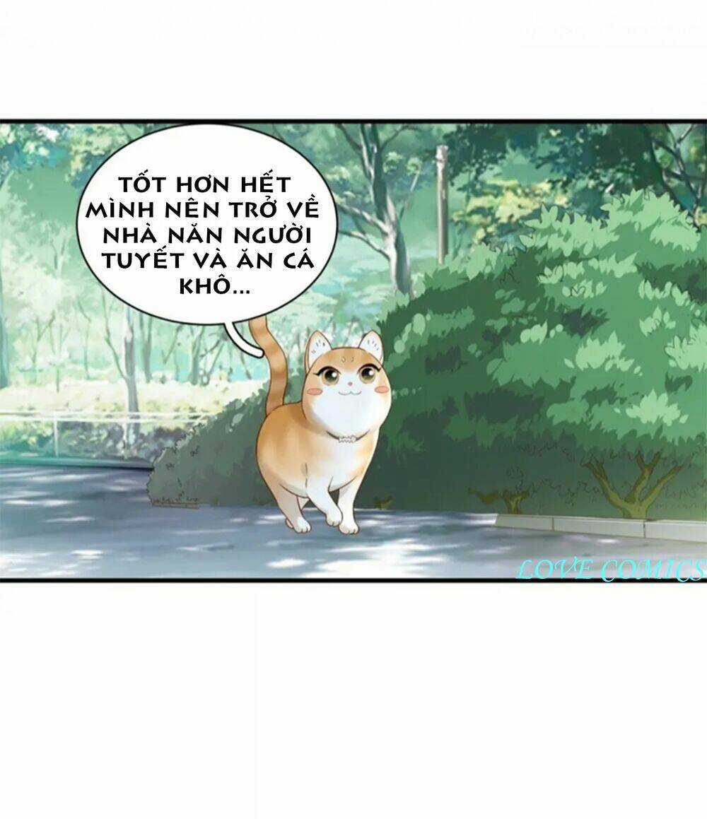 Dòng Chảy Trong Mơ - Chapter 3 - Trang 14