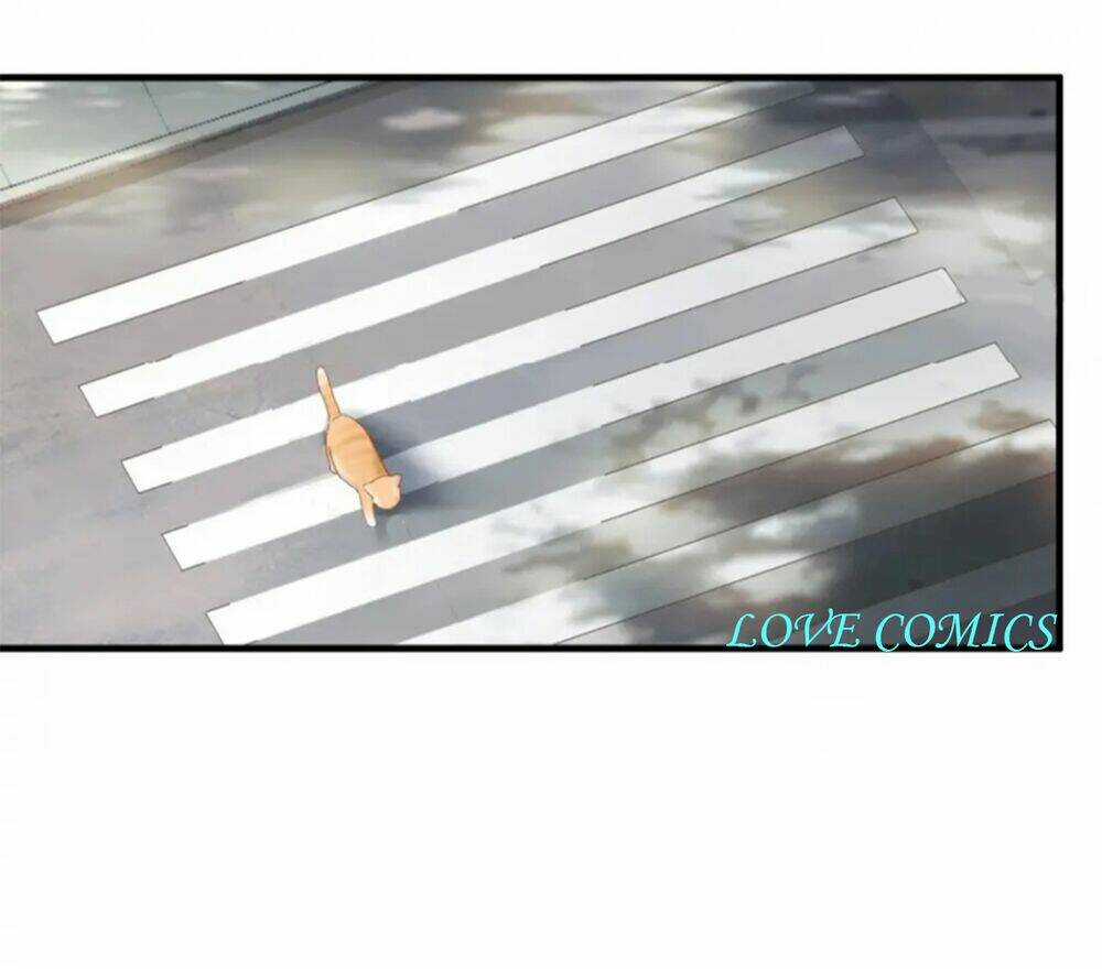 Dòng Chảy Trong Mơ - Chapter 3 - Trang 15