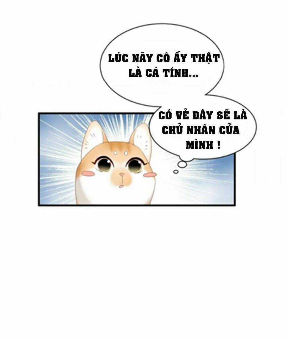 Dòng Chảy Trong Mơ - Chapter 4 - Trang 6