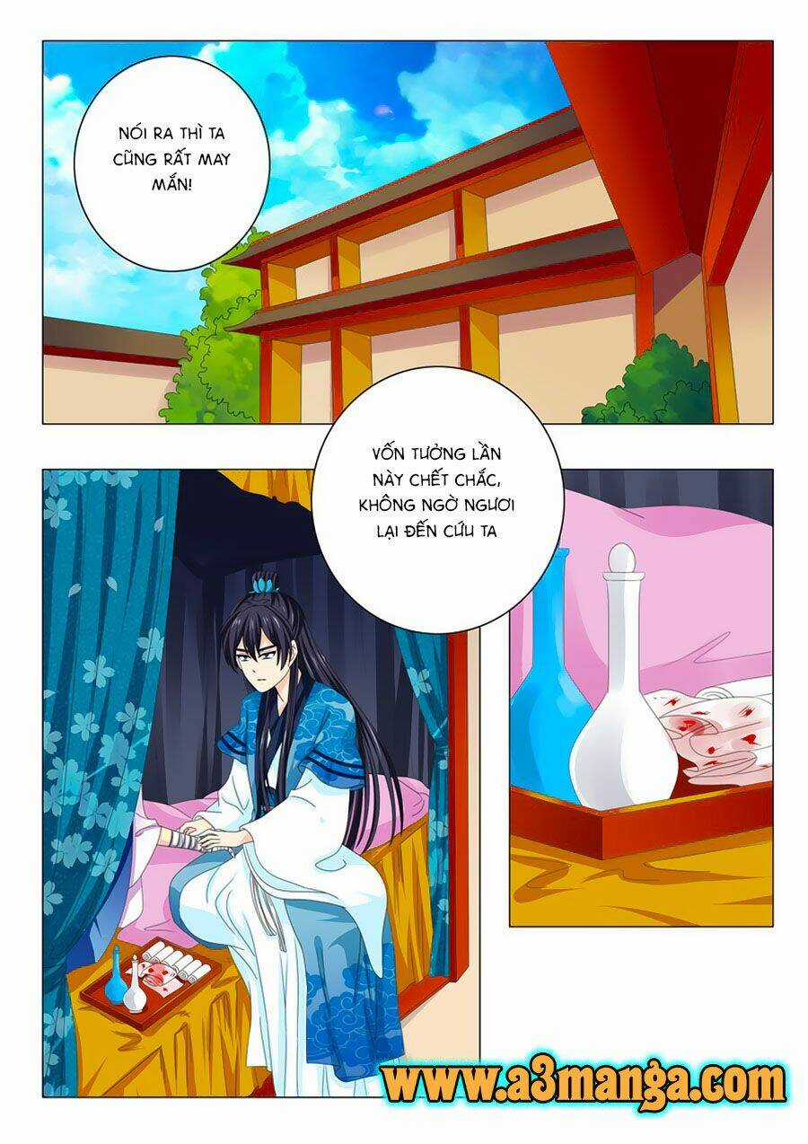 Đống Phù Đã Khai Quang - Chapter 36 - Trang 6