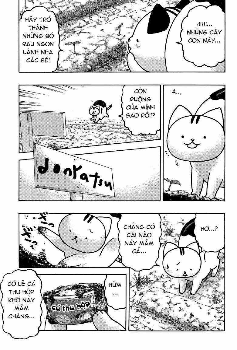 Donyatsu - Chapter 35 - Trang 11