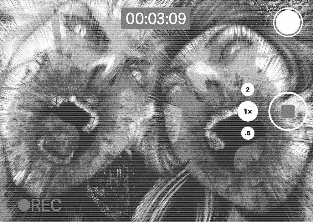 Dora-Q - Chapter 29 - Trang 15