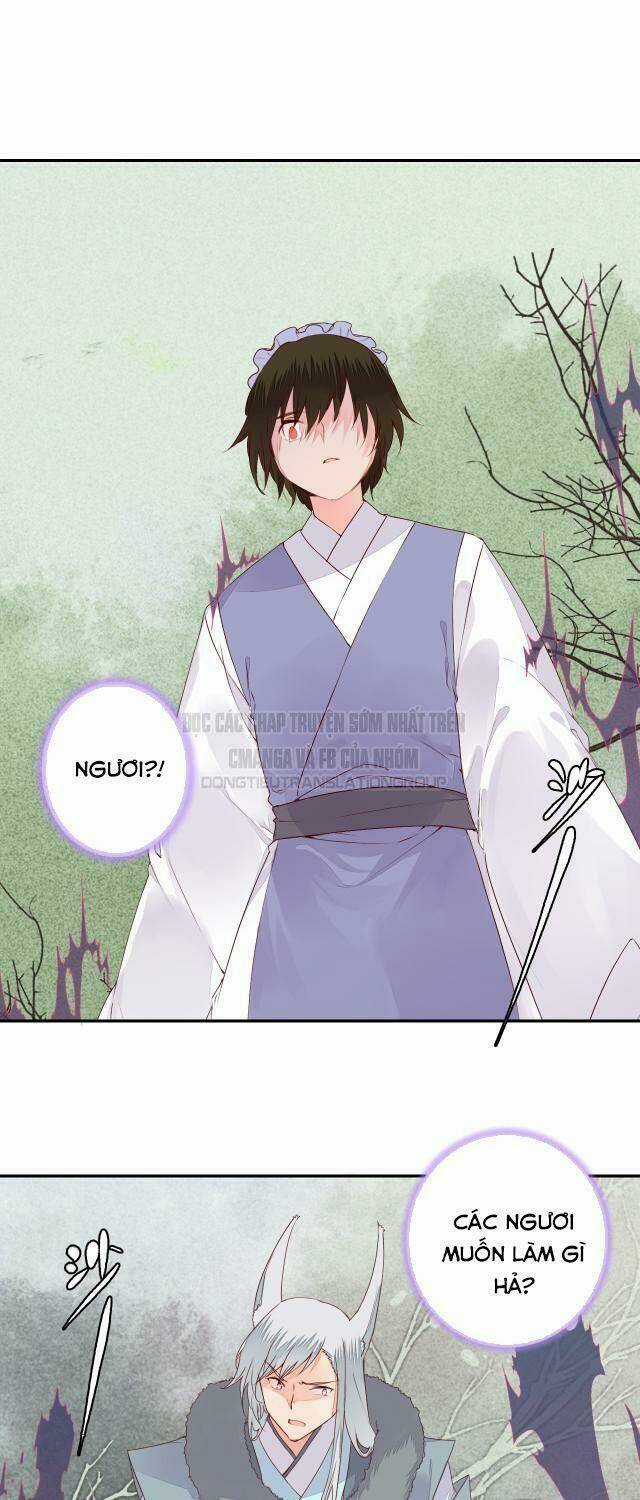 Đốt Đào Hoa - Chapter 53 - Trang 4