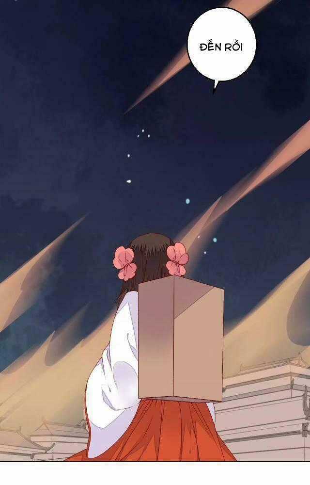 Đốt Đào Hoa - Chapter 68 - Trang 13