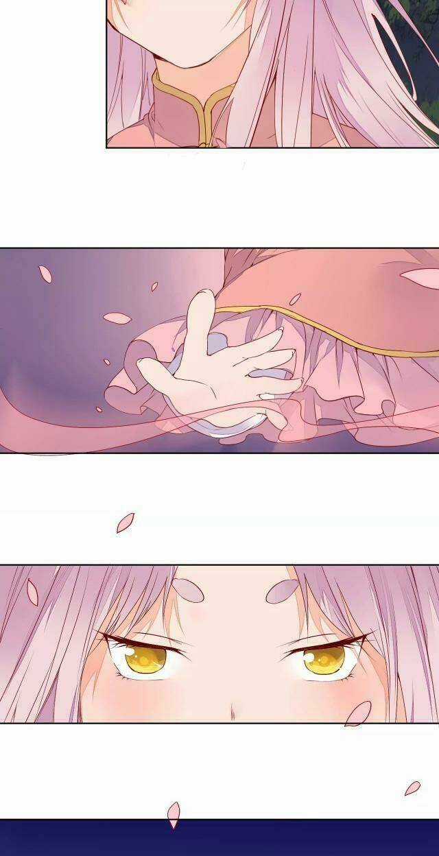 Đốt Đào Hoa - Chapter 68 - Trang 4