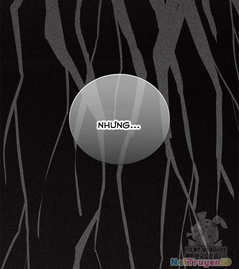 Đột Kích Giả - Chapter 28 - Trang 19