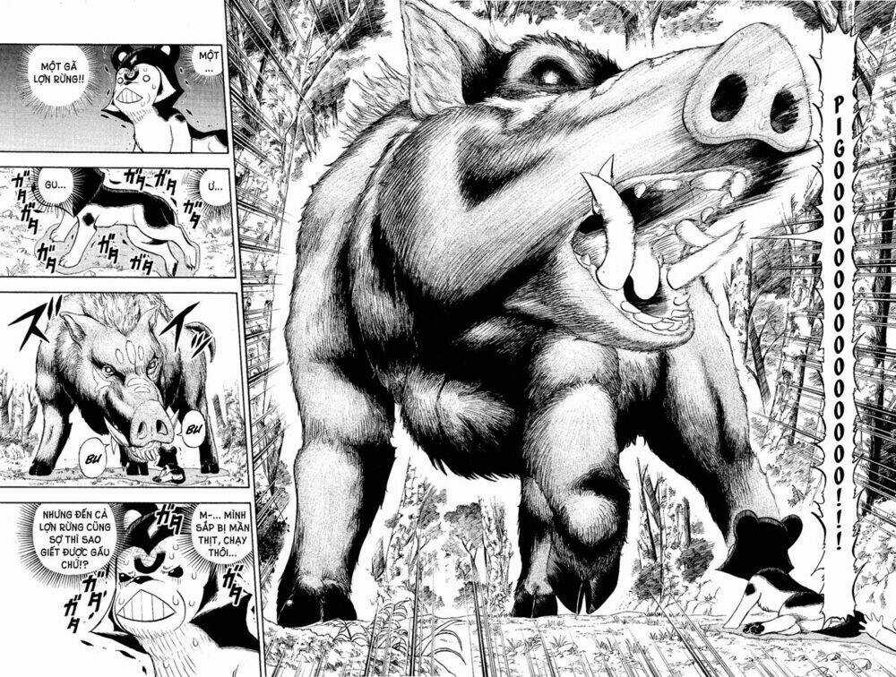 Doubutsu no Kuni - Chapter 6 - Trang 27