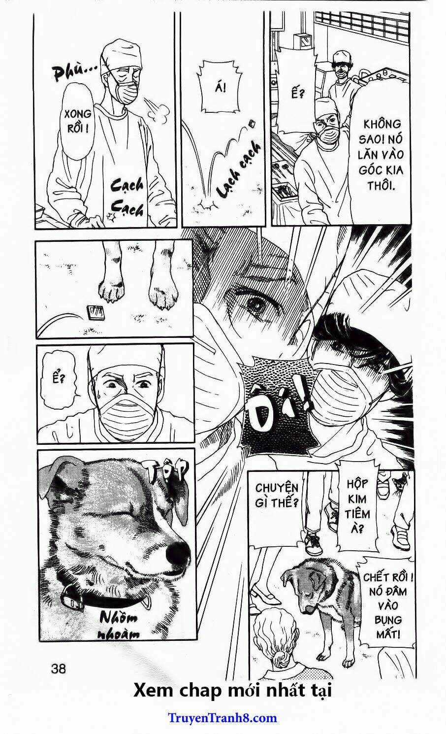 Doubutsu No Oishasan - Chapter 111 - Trang 15