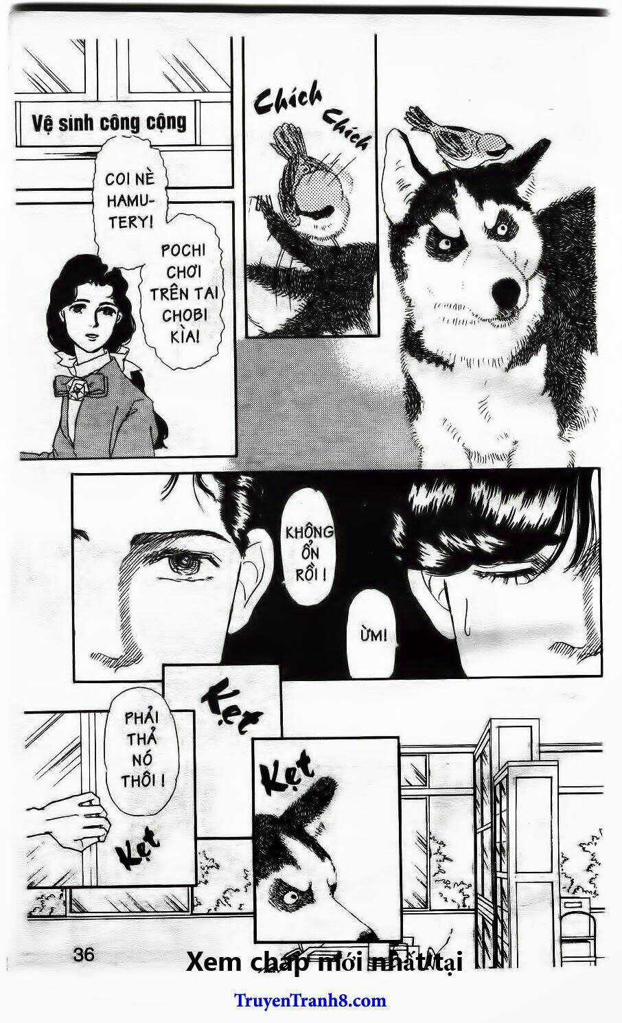 Doubutsu No Oishasan - Chapter 13 - Trang 15