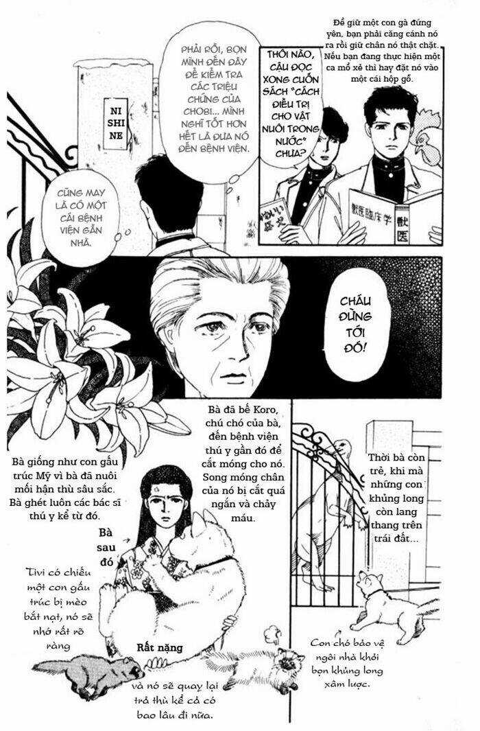 Doubutsu No Oishasan - Chapter 3 - Trang 3