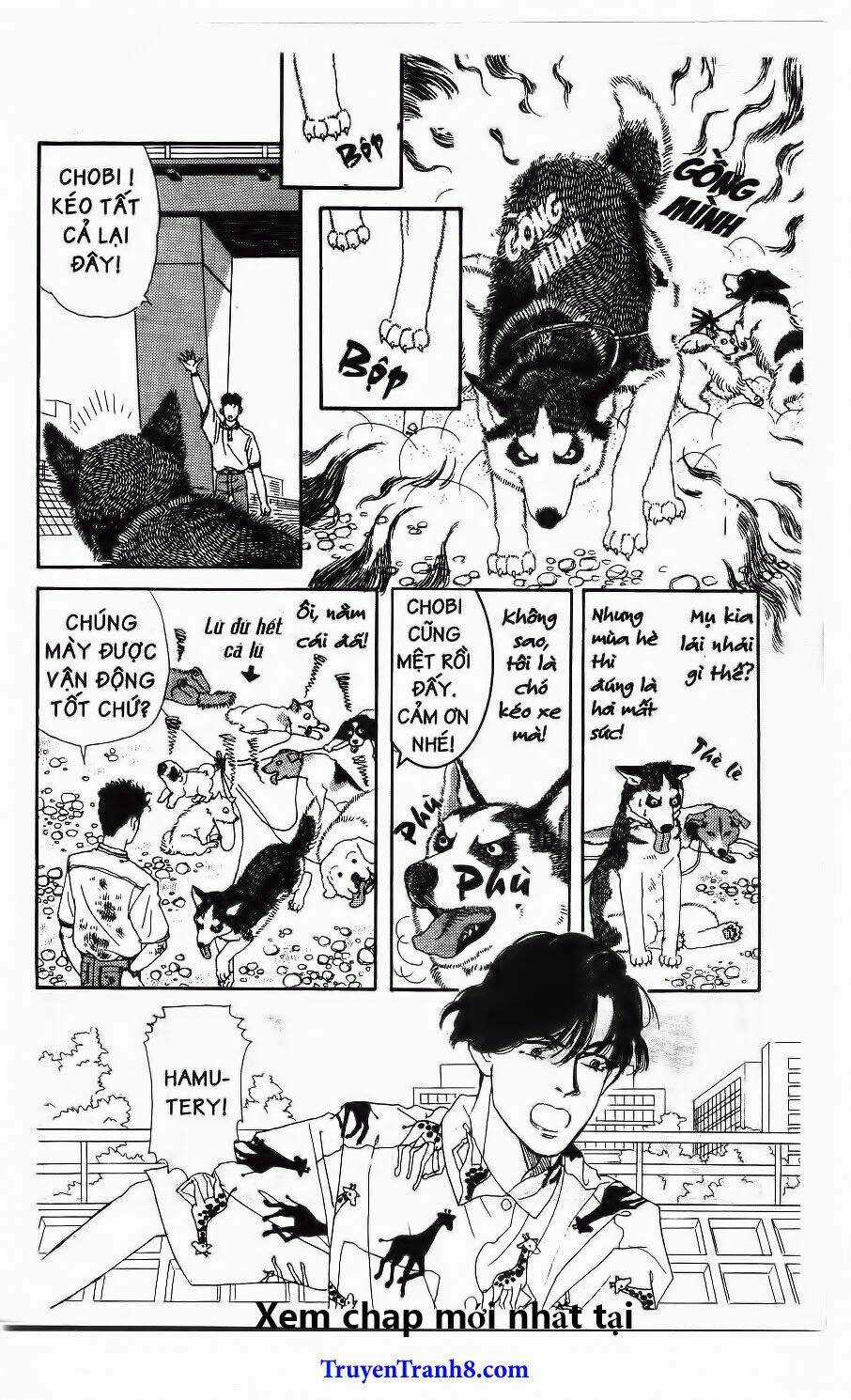 Doubutsu No Oishasan - Chapter 33 - Trang 11