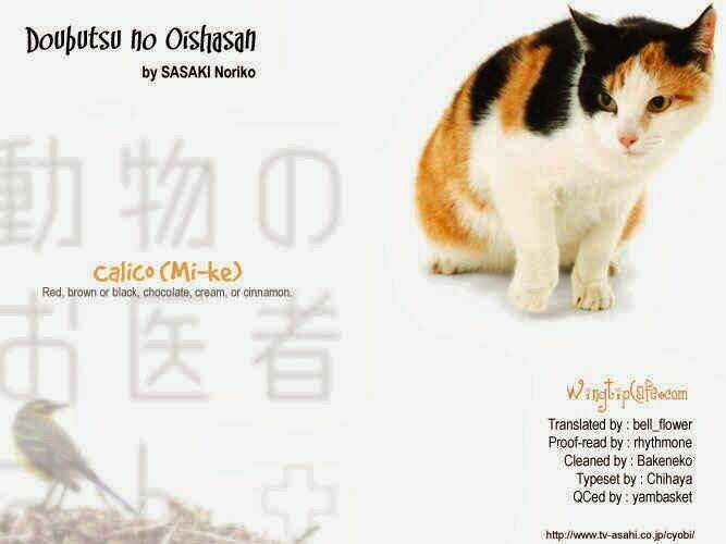 Doubutsu No Oishasan - Chapter 6 - Trang 17