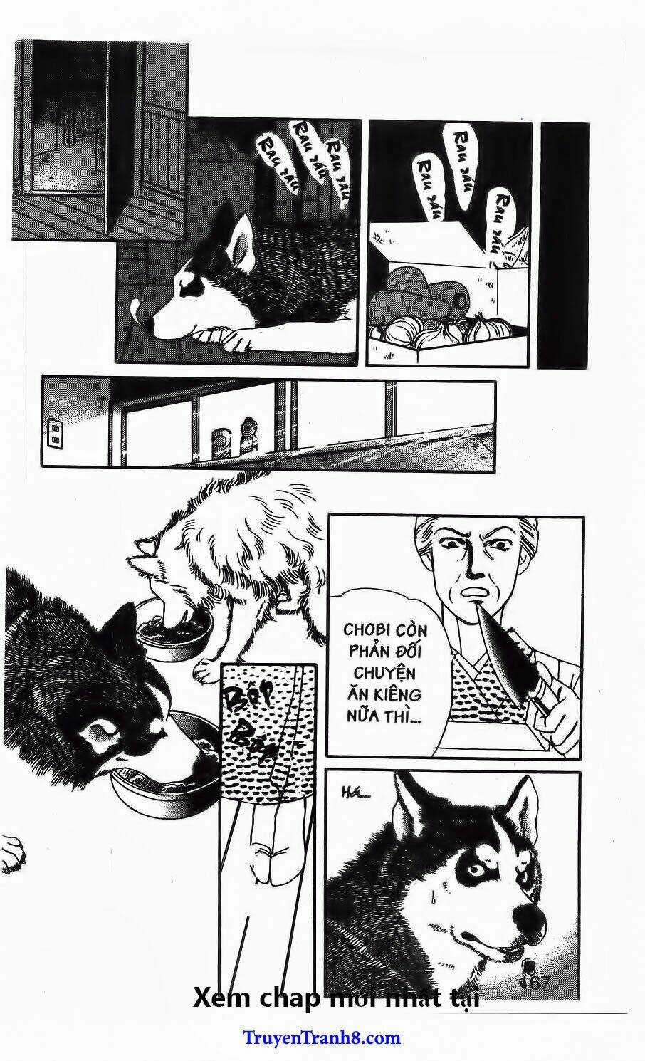 Doubutsu No Oishasan - Chapter 71 - Trang 13