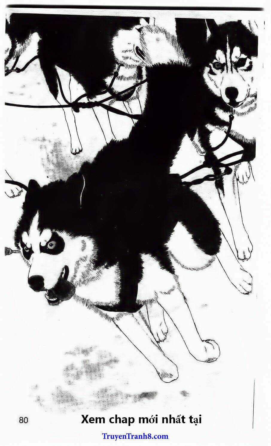 Doubutsu No Oishasan - Chapter 85 - Trang 3