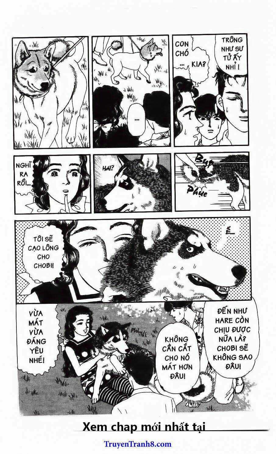 Doubutsu No Oishasan - Chapter 97 - Trang 8