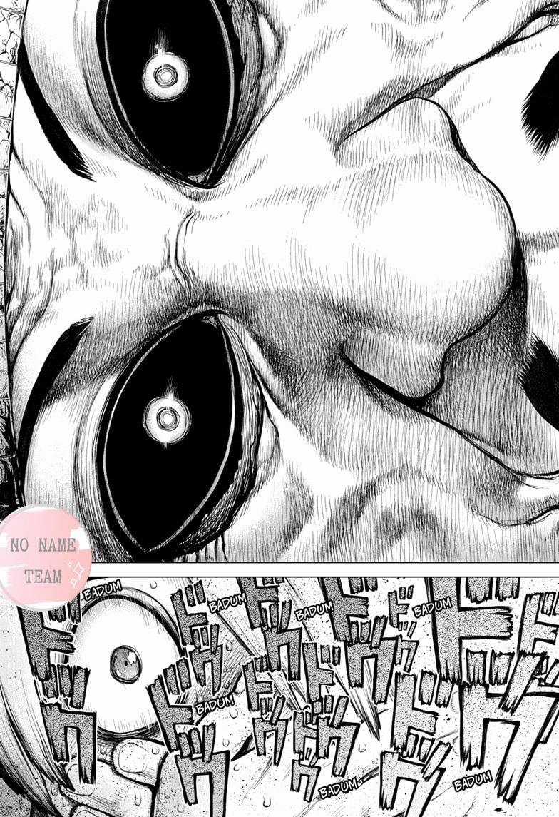 Dr.stone - Chapter 108 - Trang 17