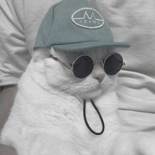 Dr.stone - Chapter 108 - Trang 23