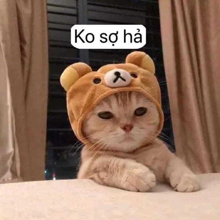 Dr.stone - Chapter 114 - Trang 20