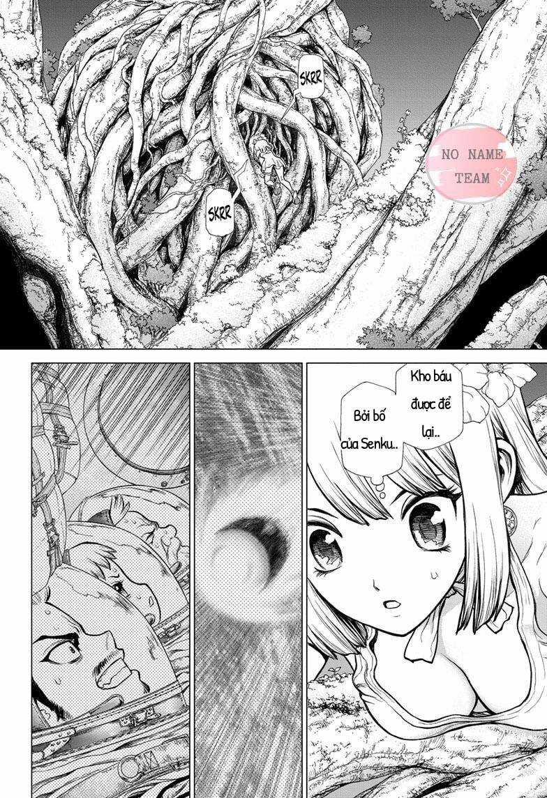 Dr.stone - Chapter 114 - Trang 3