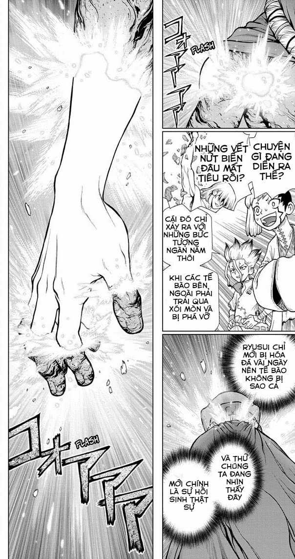 Dr.stone - Chapter 116 - Trang 17