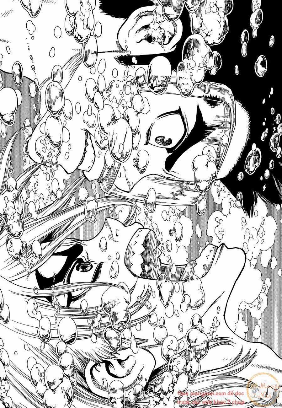 Dr.stone - Chapter 118 - Trang 13