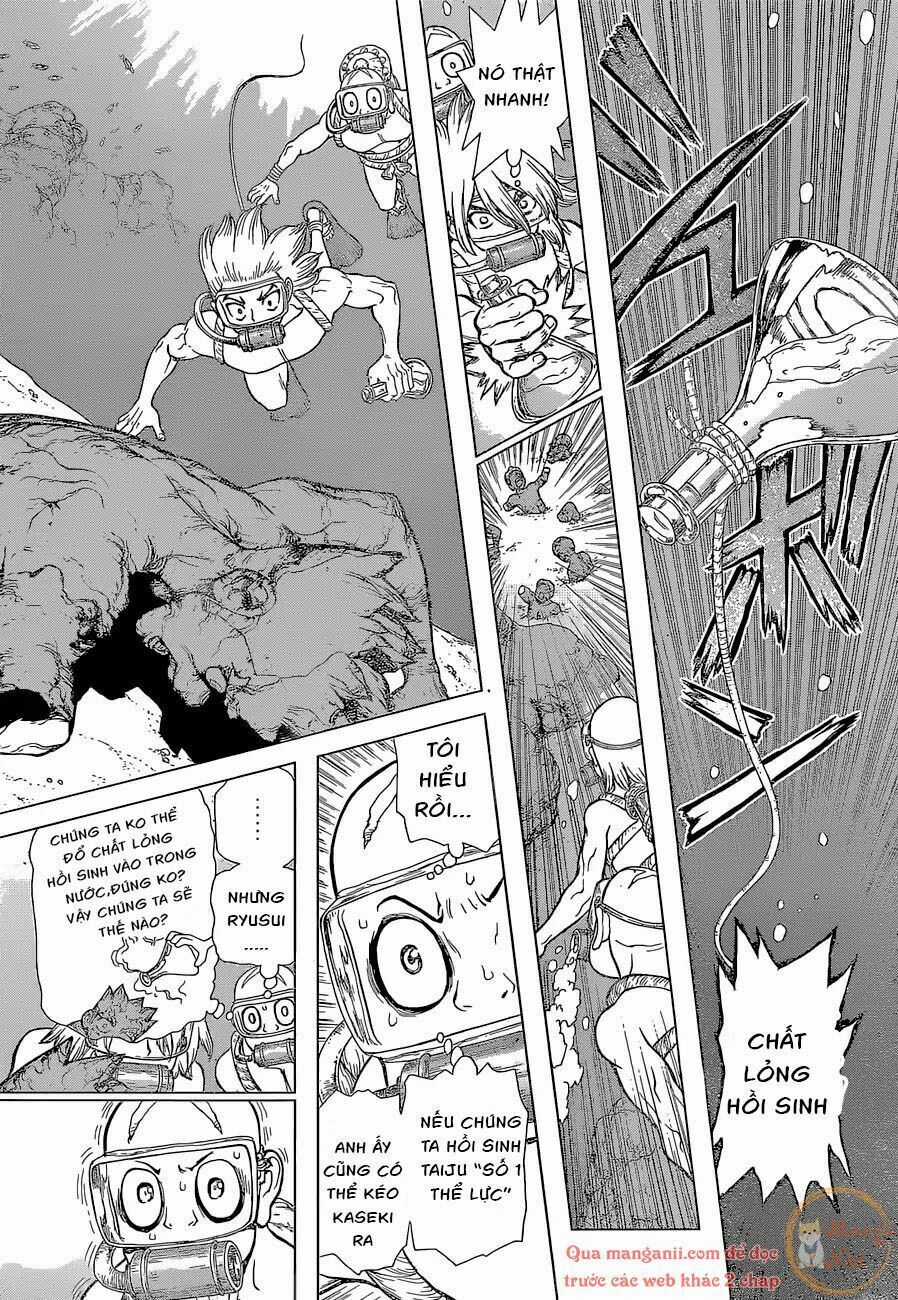 Dr.stone - Chapter 118 - Trang 8