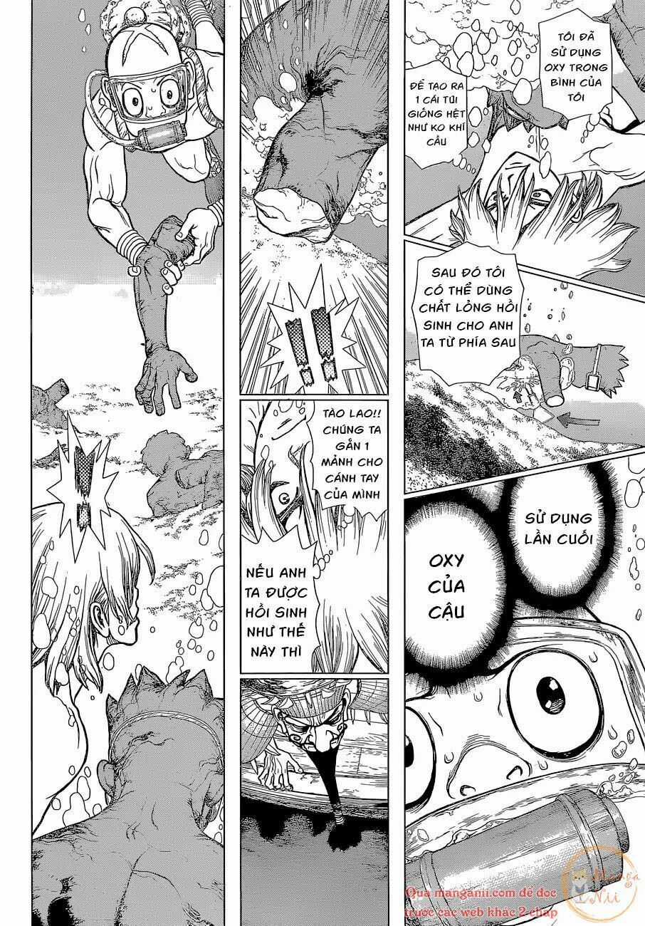 Dr.stone - Chapter 118 - Trang 10
