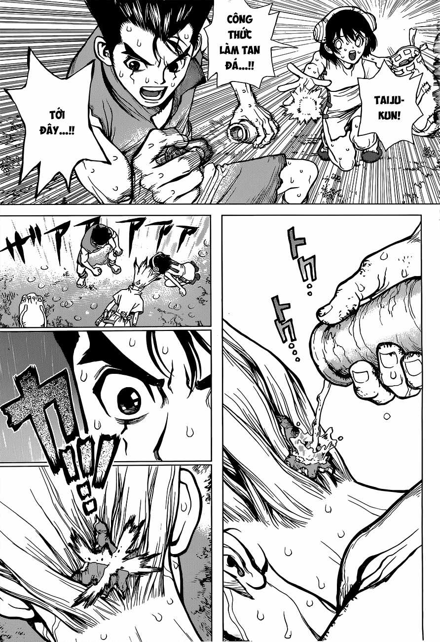 Dr.stone - Chapter 12 - Trang 14