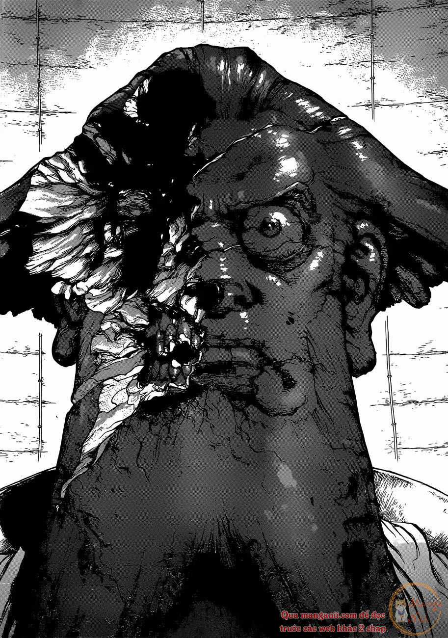 Dr.stone - Chapter 120 - Trang 17