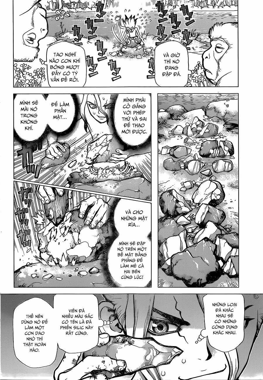 Dr.stone - Chapter 13 - Trang 12