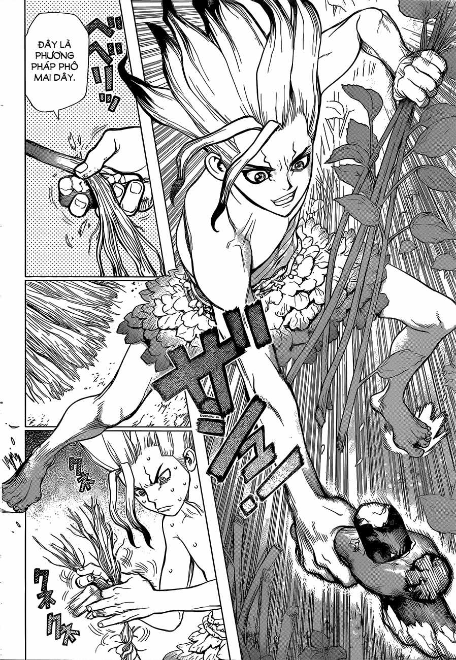 Dr.stone - Chapter 13 - Trang 14