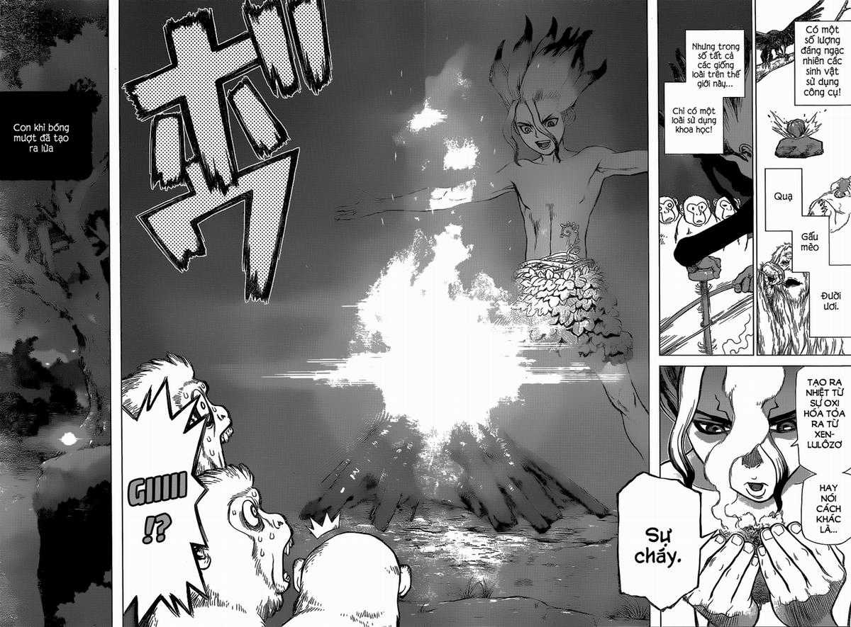 Dr.stone - Chapter 13 - Trang 16