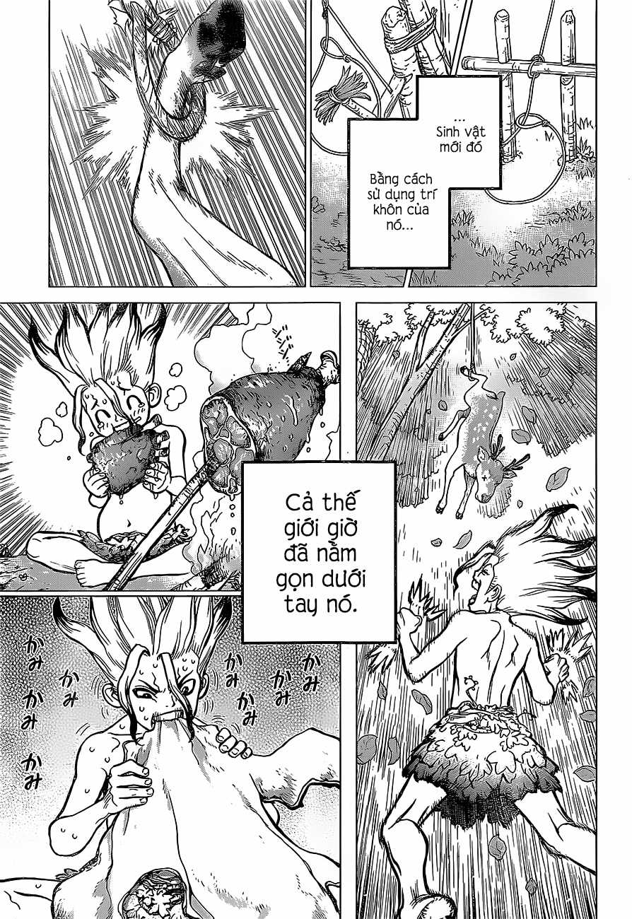 Dr.stone - Chapter 13 - Trang 17