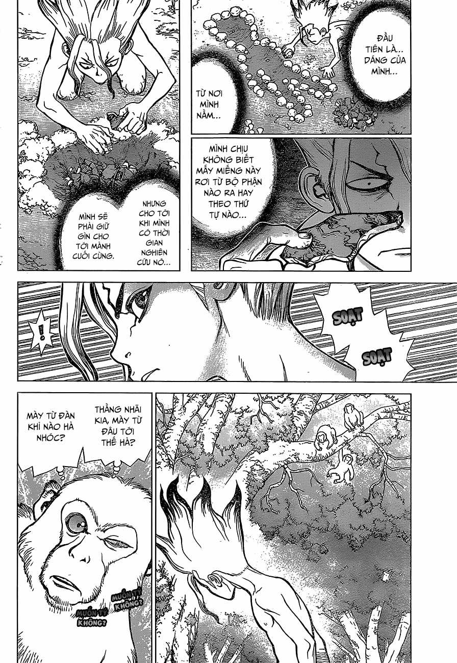 Dr.stone - Chapter 13 - Trang 5