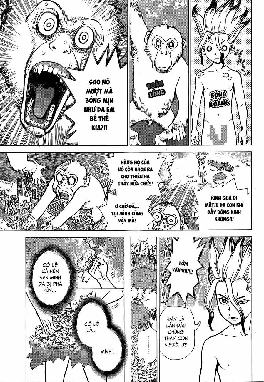 Dr.stone - Chapter 13 - Trang 6