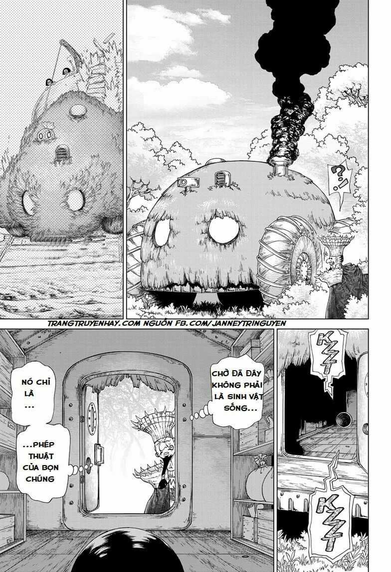 Dr.stone - Chapter 134 - Trang 15