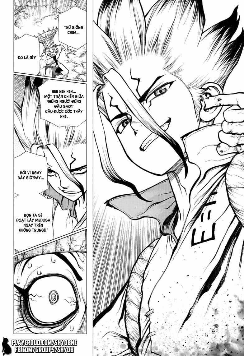 Dr.stone - Chapter 136 - Trang 17