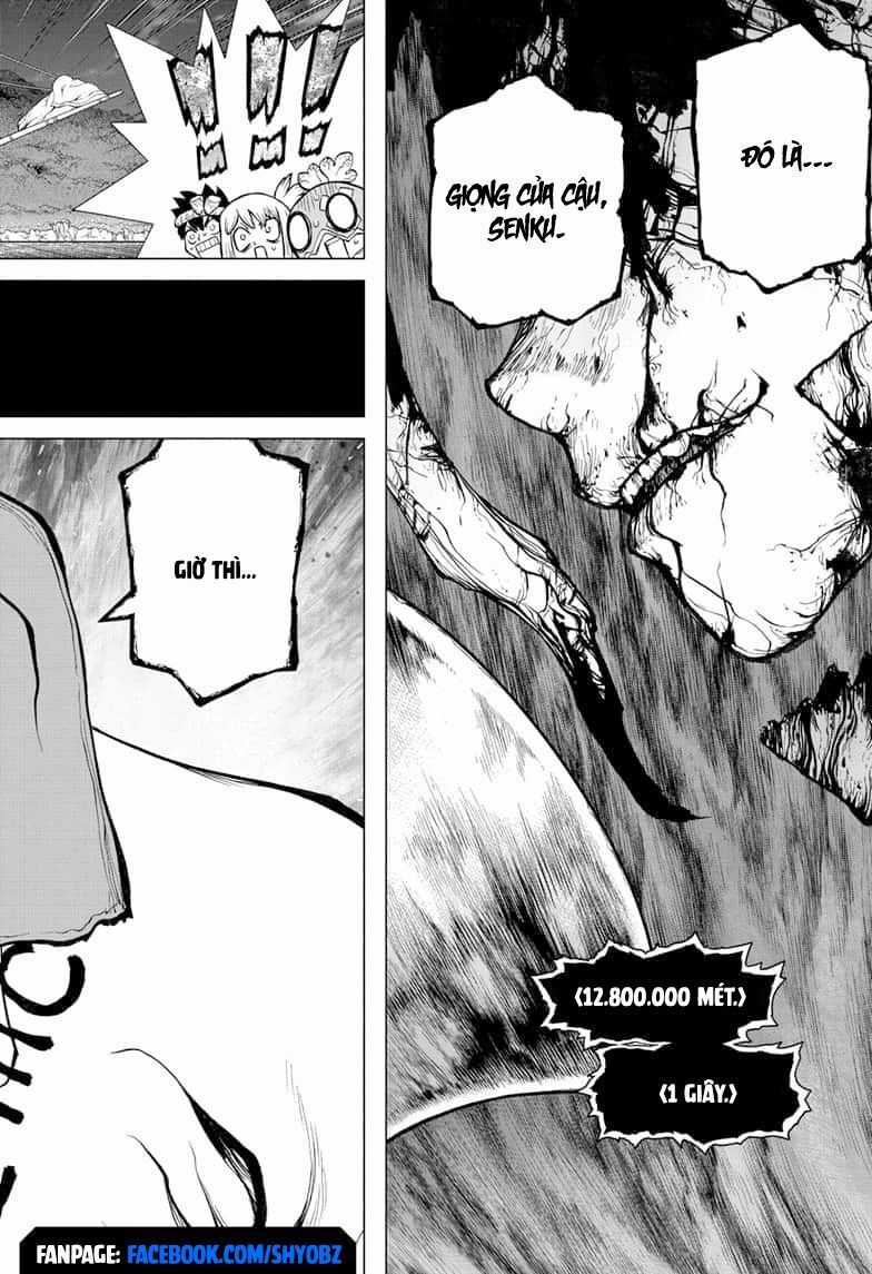 Dr.stone - Chapter 138 - Trang 19